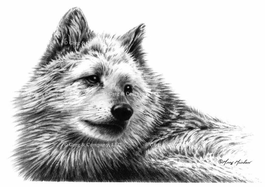 GREGCO BW#15