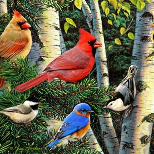 Birds